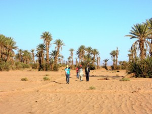 2012-11-27_11-14-32