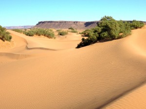 2012-11-29_12-26-29