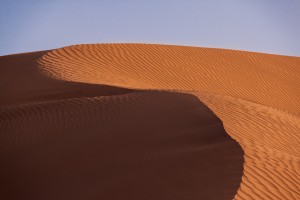 IMG_1273