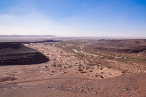 IMG_1921